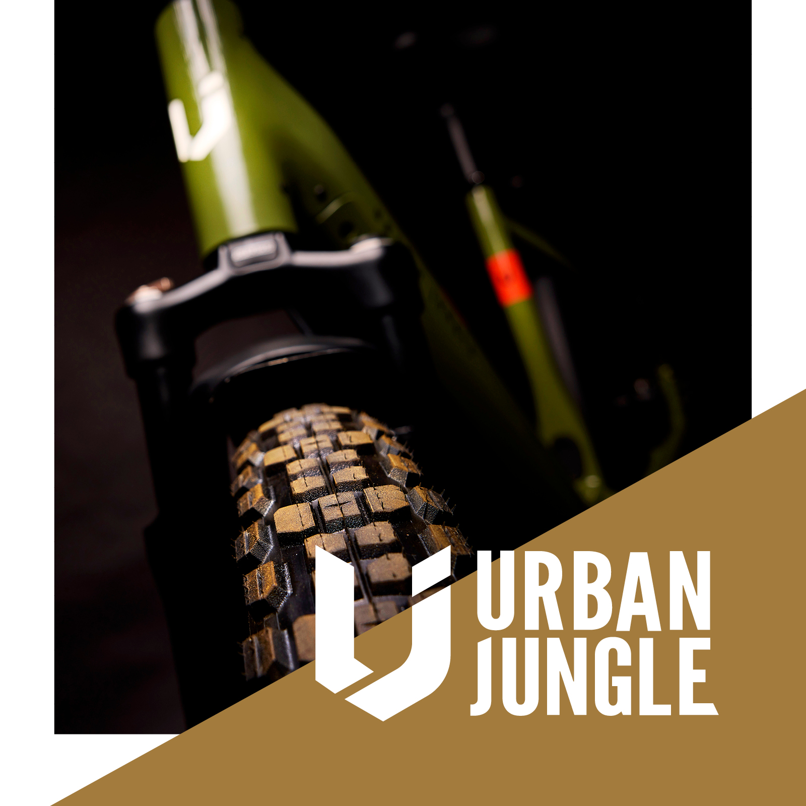 Sail+Surf | Urban Jungle 2024